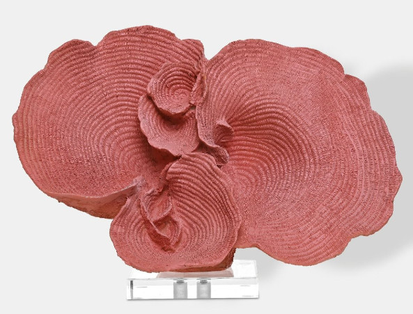 KORALOWIEC BLUE LAGOON