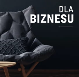 dla biznesu