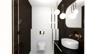 czarno biała 56168 20230805 123104