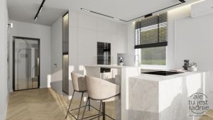 Marta Pujszo parter — kopia (2) 11 48694 20240111 034412