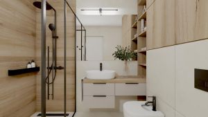 A 25605 20241209 111044